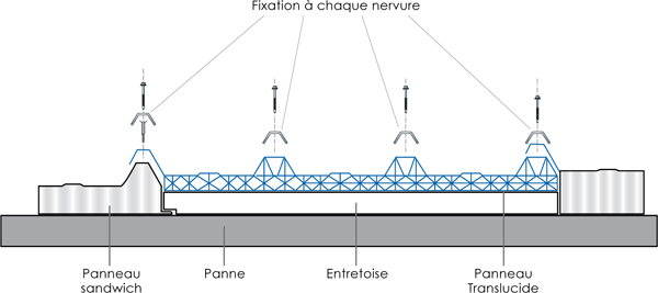 TRANSLUCIDES EN POLYCARBONATE